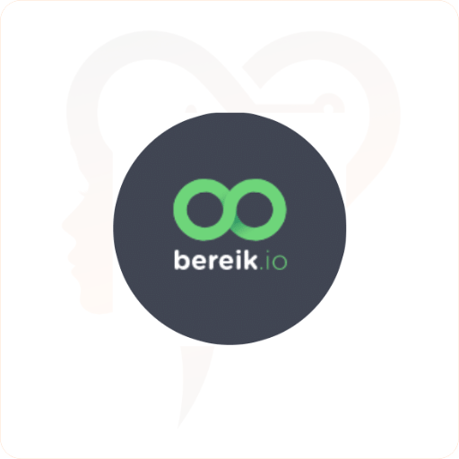 Bereik.io logo